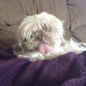 Meet your Posher, Tami